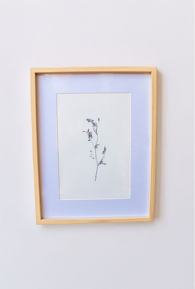 Quadro decorativo Botanico de inverno III -9- copiar.jpg